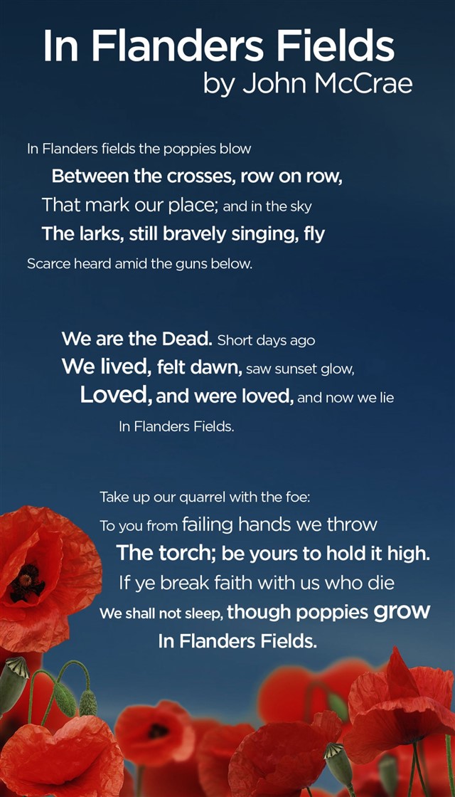 flanders-fields-infographic.jpg